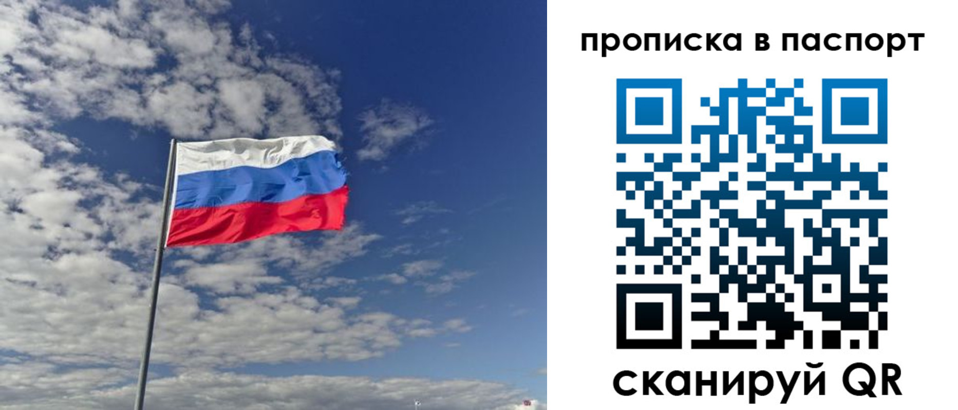 временная регистрация надежно в Светлогорске